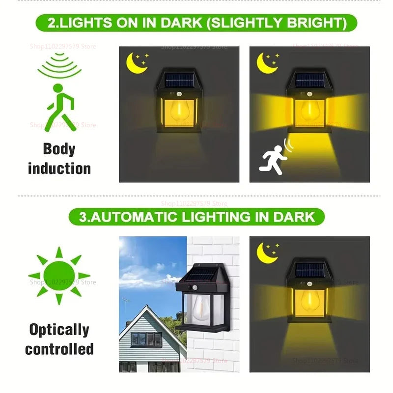Novacart™ Solar Induction Wall Lamp