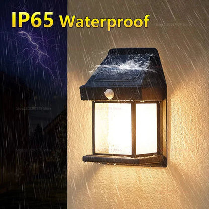 Novacart™ Solar Induction Wall Lamp